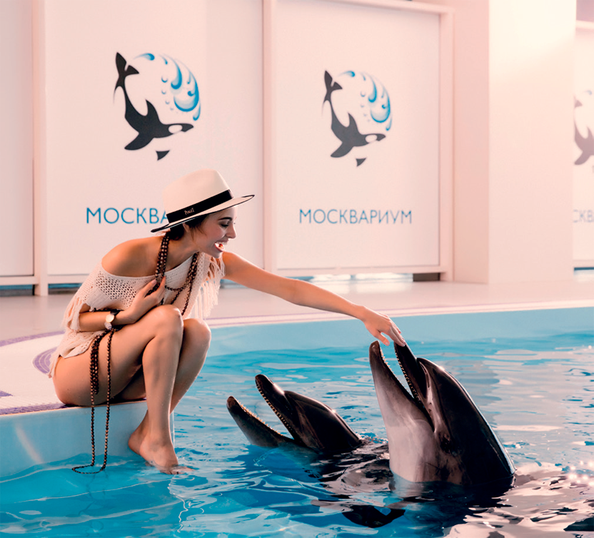 Москвариум поплавать. Дельфин Москвариум. Москвариум на ВДНХ плавание с дельфинами. ВДНХ центр плавания с дельфинами. Москвариум бассейн с дельфинами.
